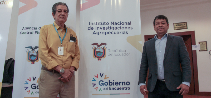 Ministro Pedro Álava presenta variedades de banano, tolerantes a Foc R4T