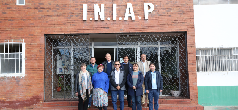INIAP es seleccionado para el proyecto mundial BOLD 1 por Crop Trust