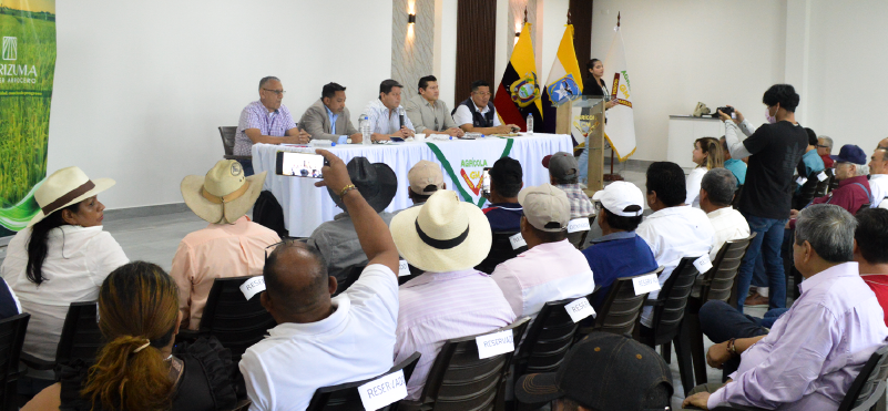 INIAP fortalece el trabajo conjunto con productores arroceros en Guayas y El Oro