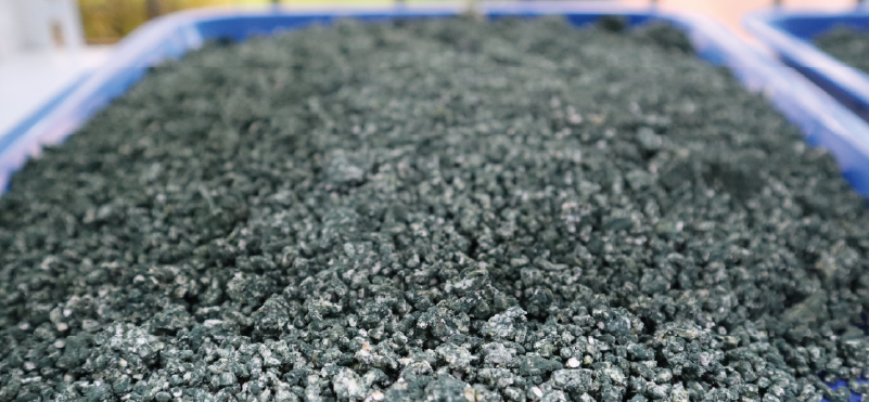 INIAP impulsa el uso de microorganismos benéficos para proteger el banano ecuatoriano y promover una agricultura más sostenible